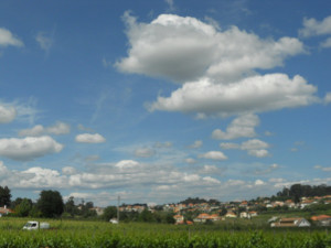 Paisagem agrícola de Rio de Moinhos